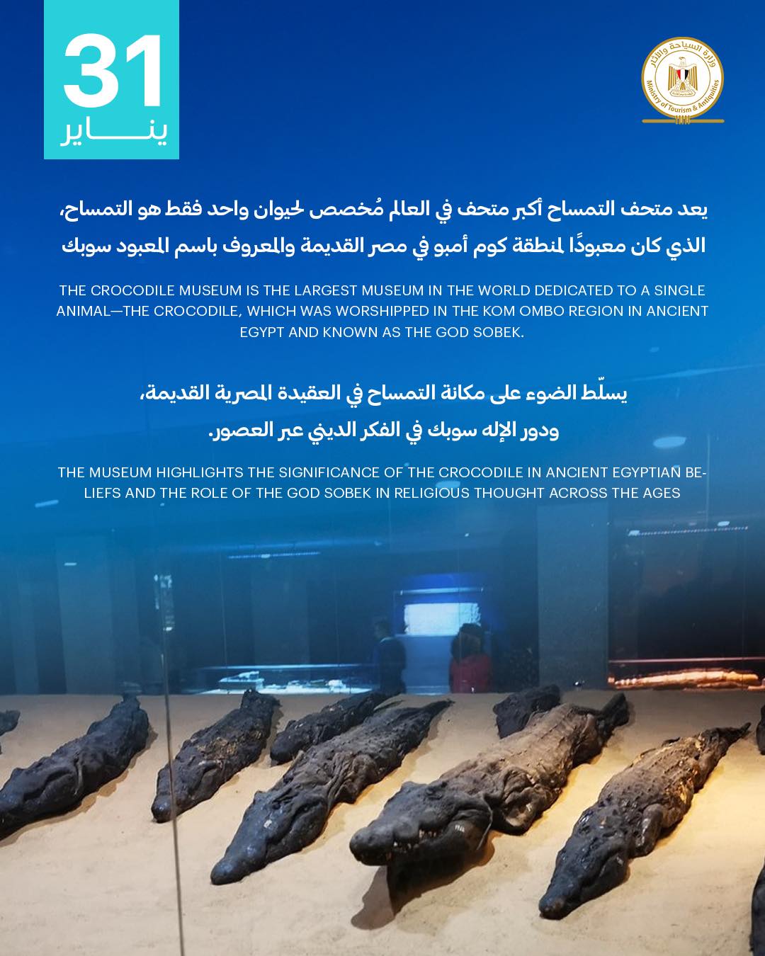مرور 14 عامًا على افتتاح متحف التمساح بكوم أمبو&nbsp;