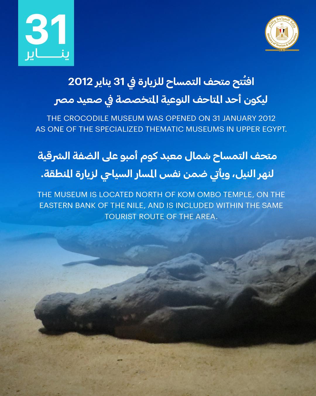 مرور 14 عامًا على افتتاح متحف التمساح بكوم أمبو&nbsp;