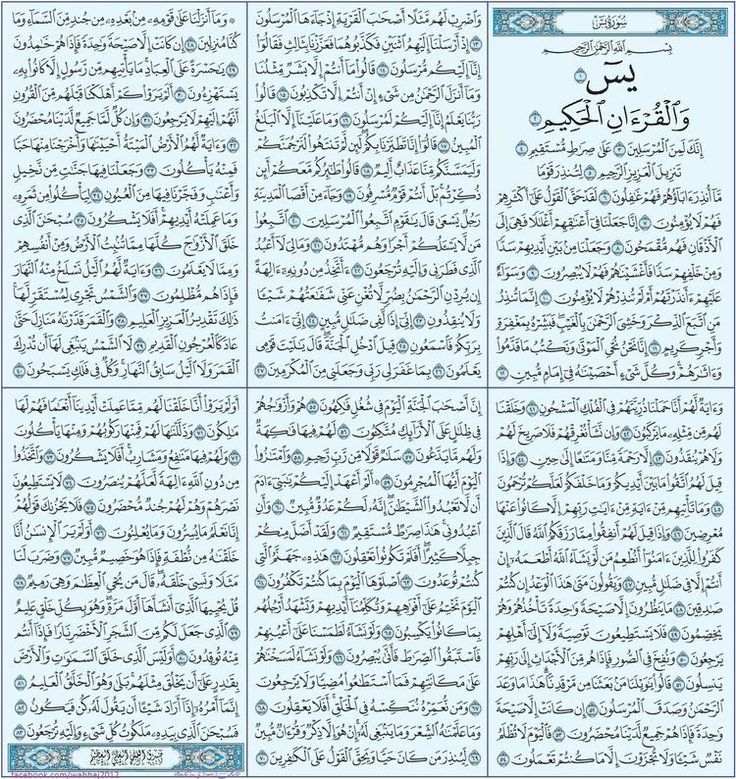سورة يس
