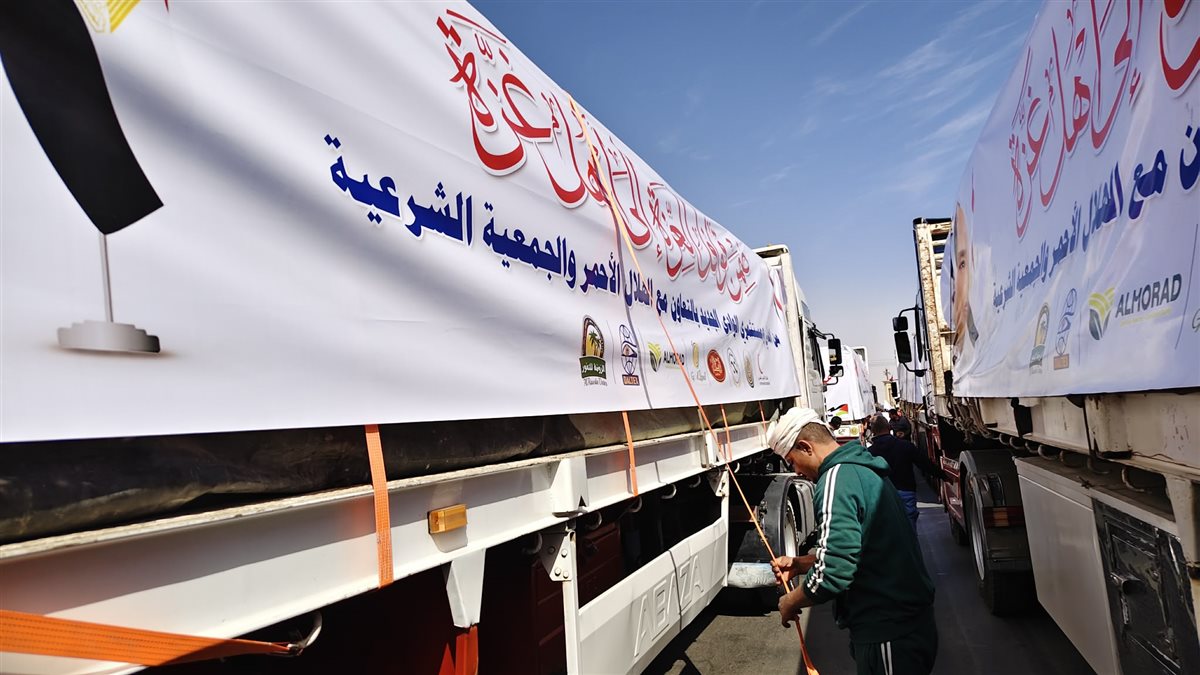 قافلة اغاثة من الوادي الجديد لاهالى غزة