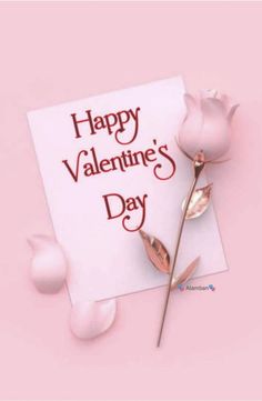 صور عيد الحب 2026