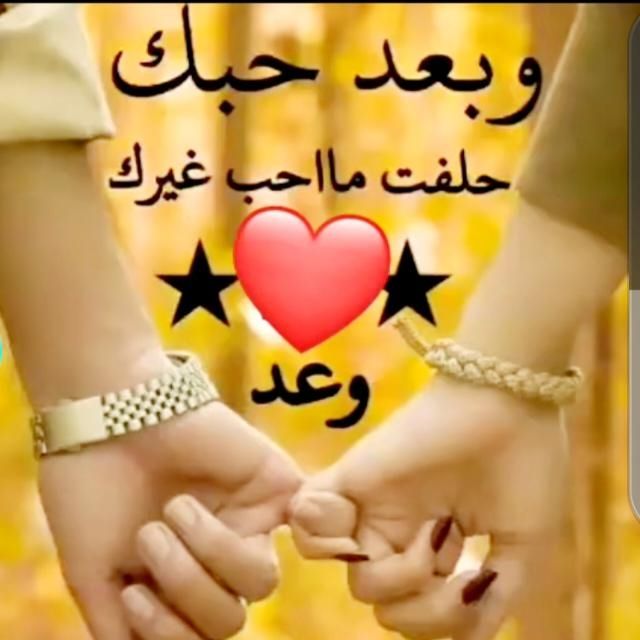 أجمل رسائل تهنئة بعيد الحب 2026 بالصور
