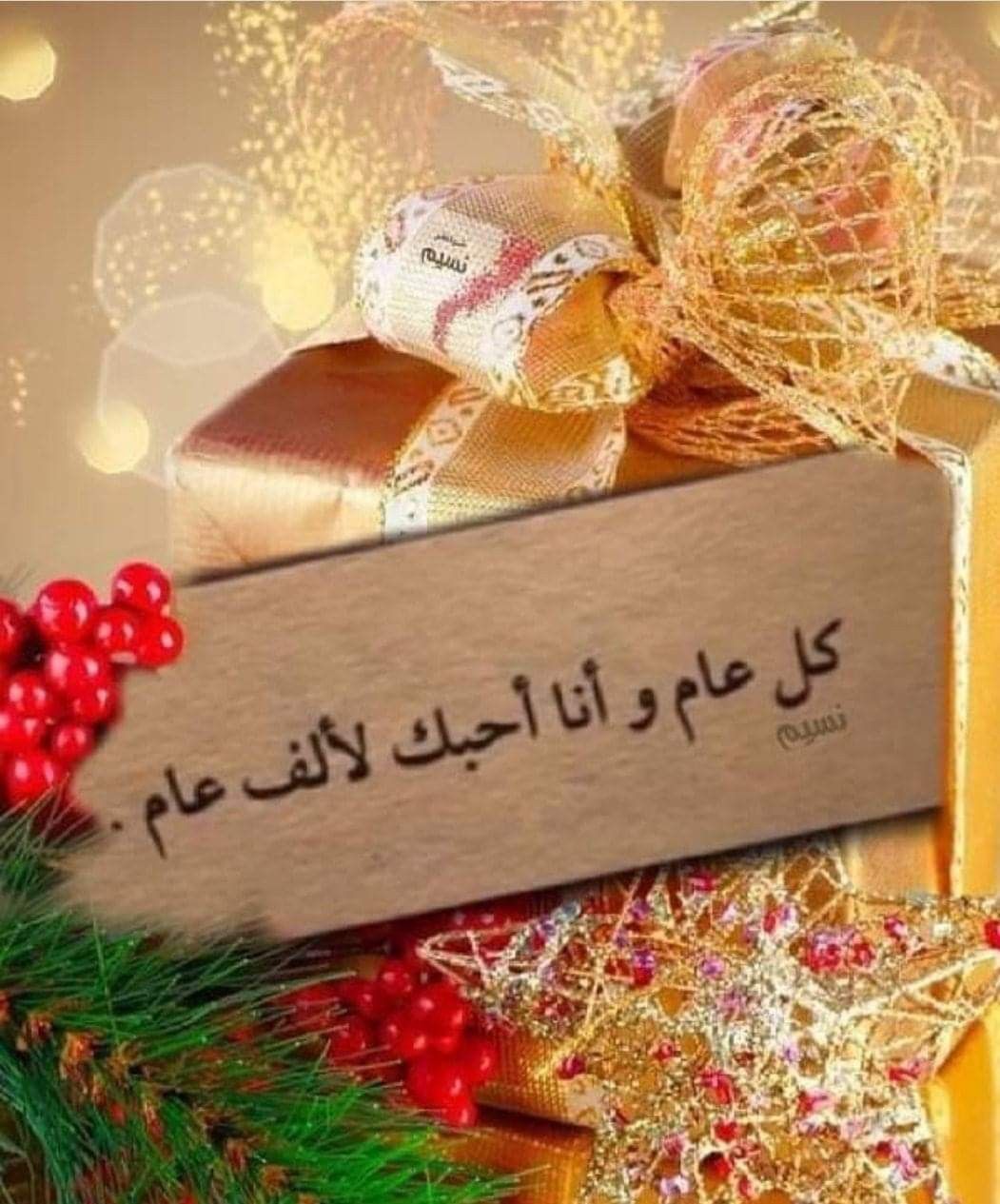 كلام عن عيد الحب للحبيب