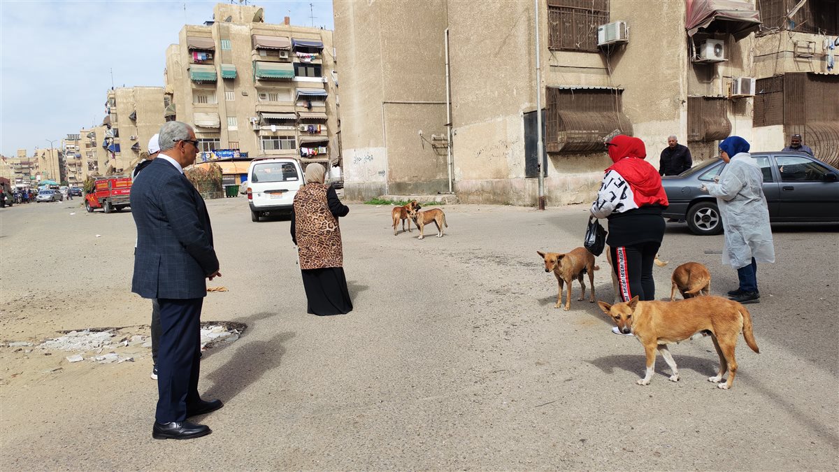 تحصين كلاب حي الزهور الضالة 