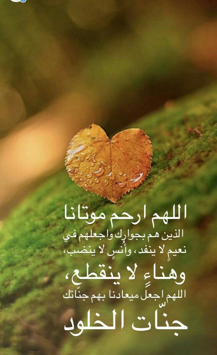 دعاء للمتوفى في رمضان