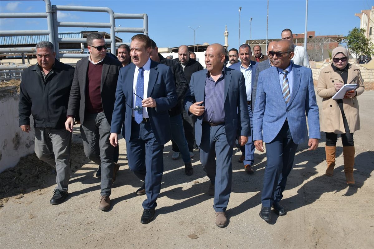 محطة تسمين الماشية ببورسعيد 