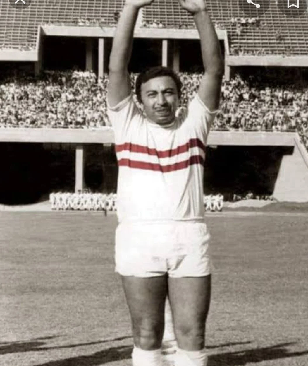 <strong>حمادة إمام</strong>