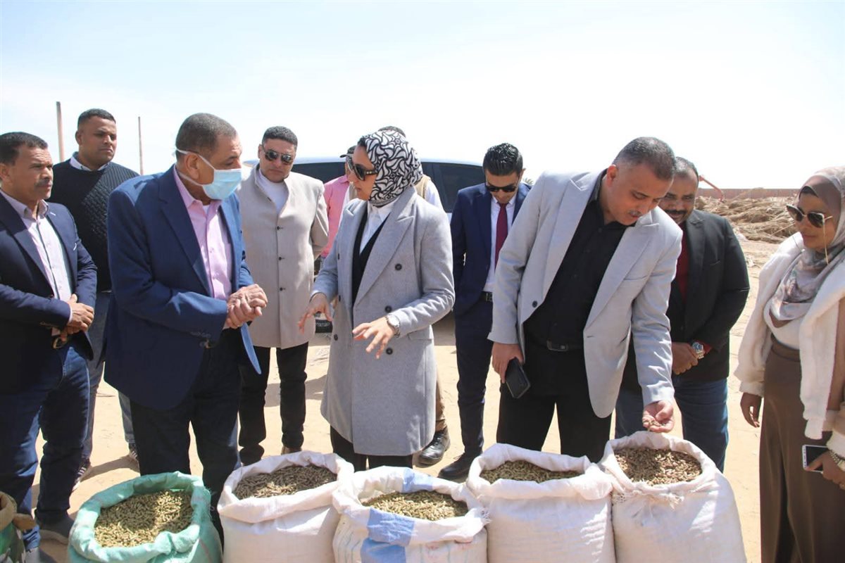 جانب من جولة محافظ الوادى الجديد