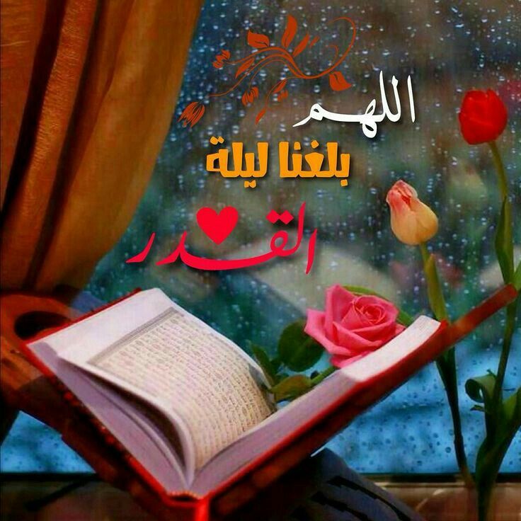 علامات ليلة القدر الصحيحة