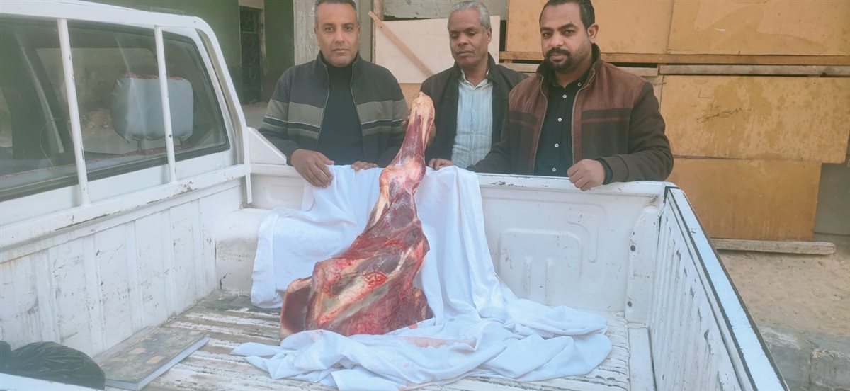 حملات تموينية مكثفة بالأقصر&nbsp;