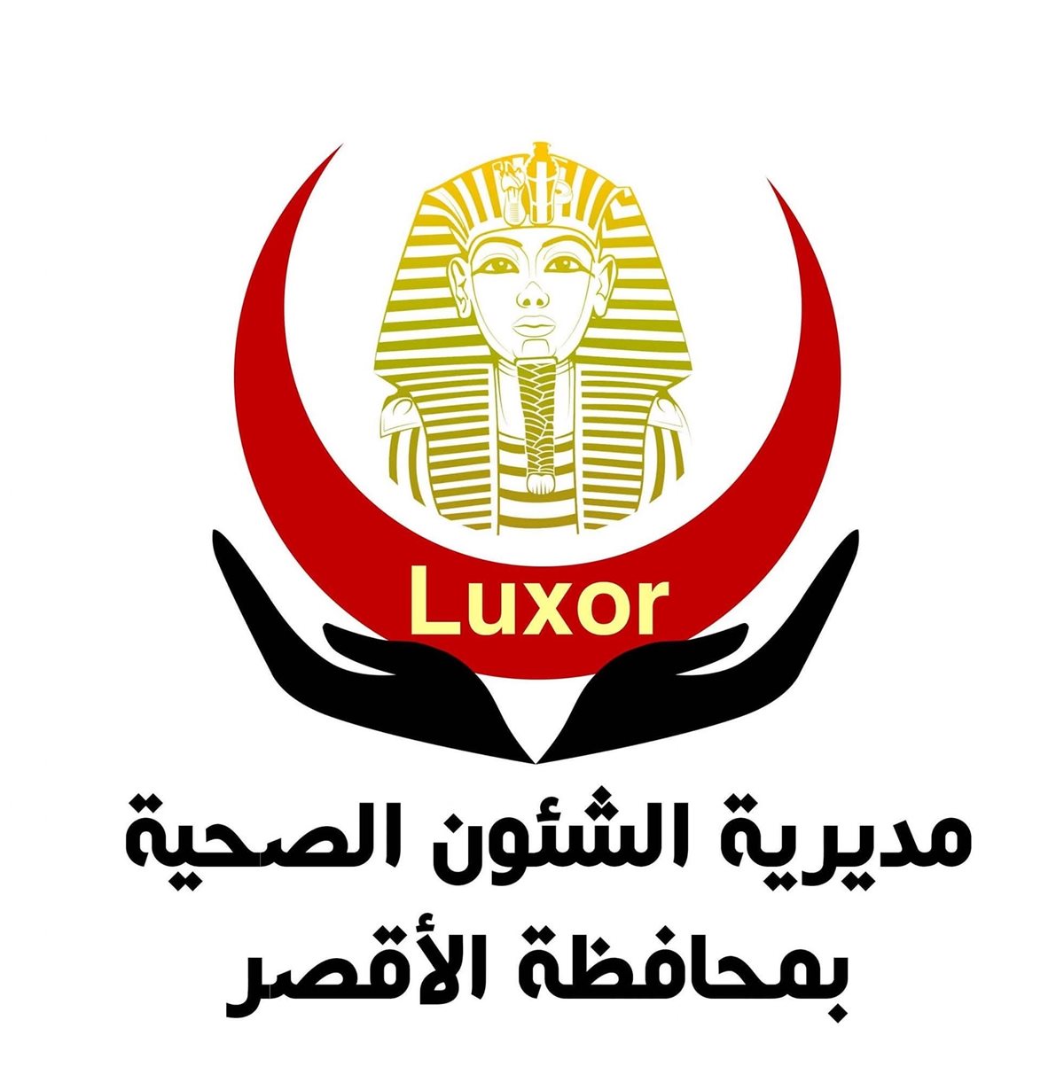 صحة الأقصر&nbsp;