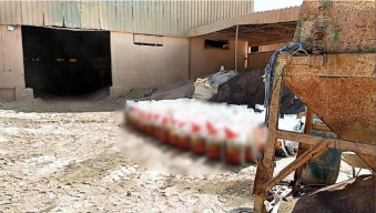 جانب من المضبوطات