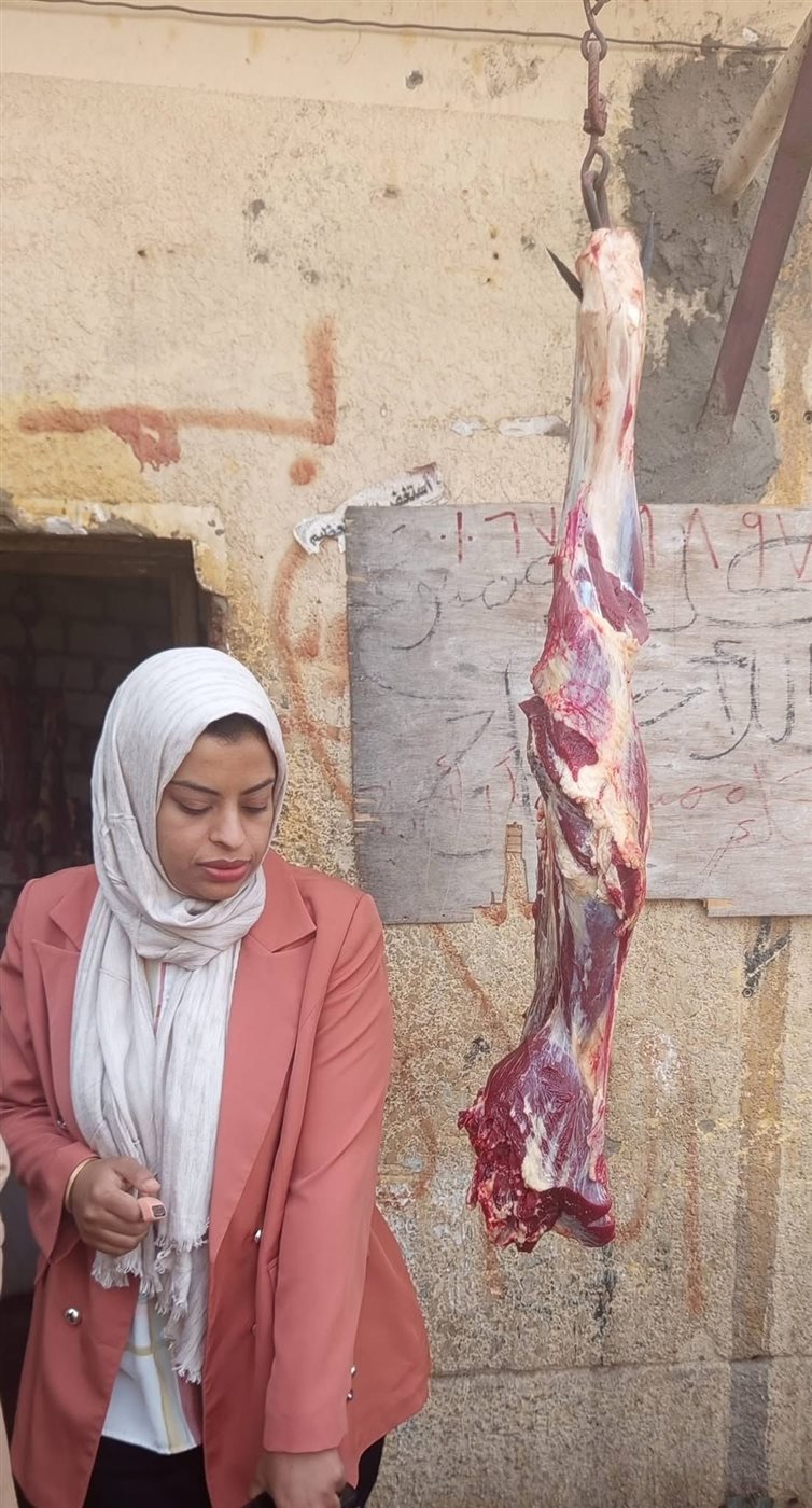 حملات للطب البيطري بالأقصر&nbsp;