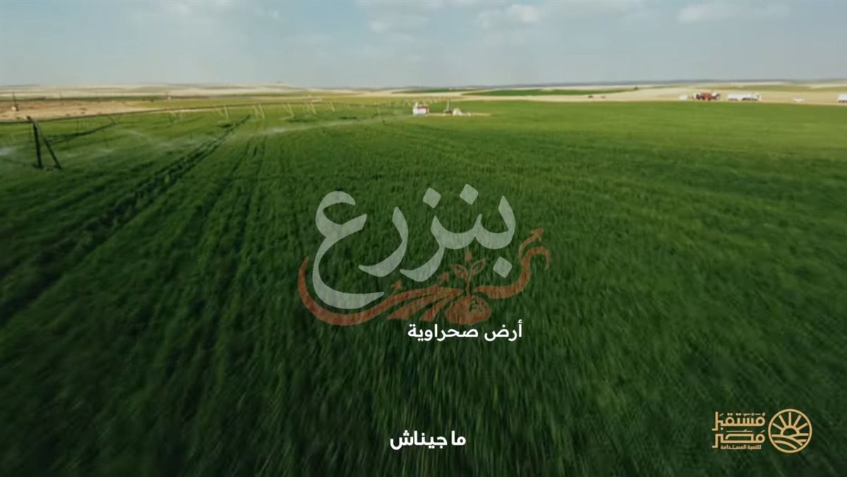 مستقبل مصر