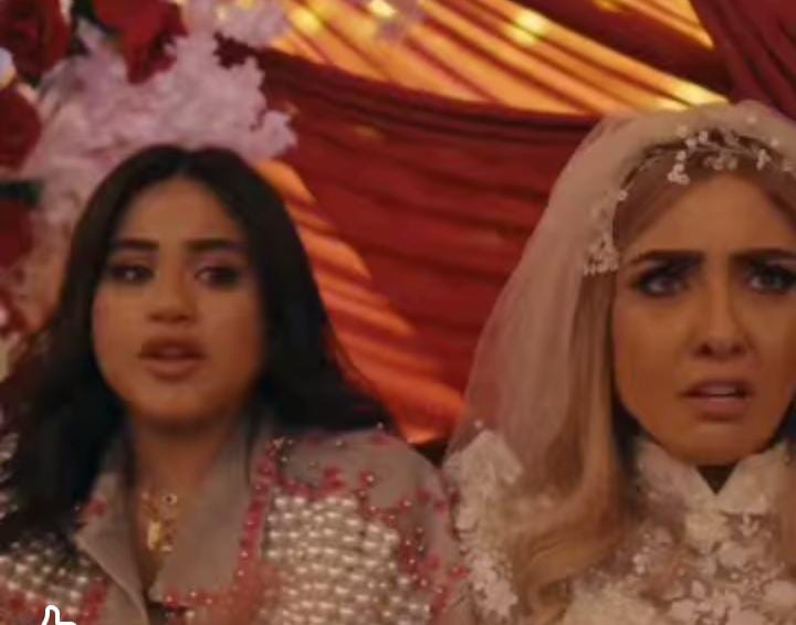 ظهور البلوجر هايدي كامل في الحلقة العاشرة من مسلسل نون النسوة