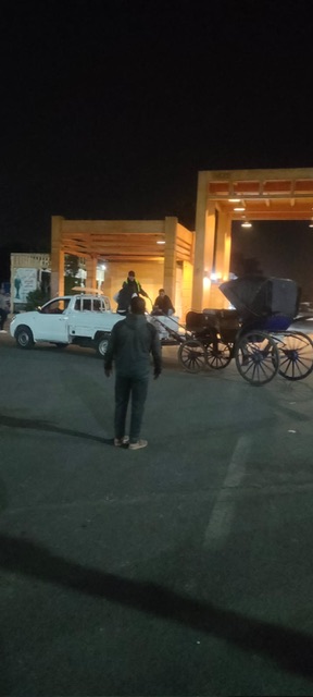 حملات على عربات الحنطور المخالفة بالأقصر&nbsp;