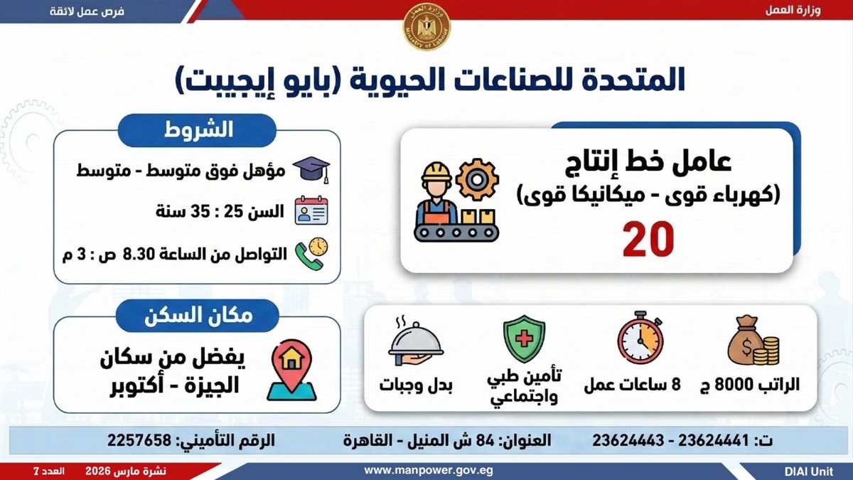 نشرة التوظيف الأسبوعية