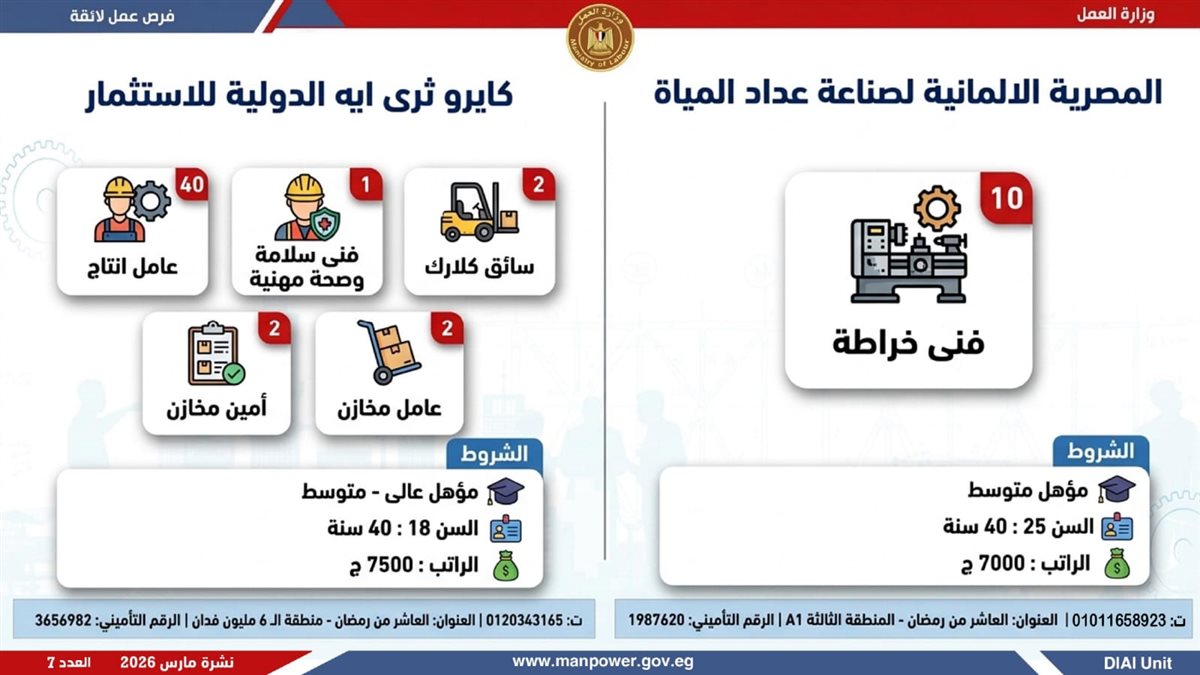 نشرة التوظيف الأسبوعية