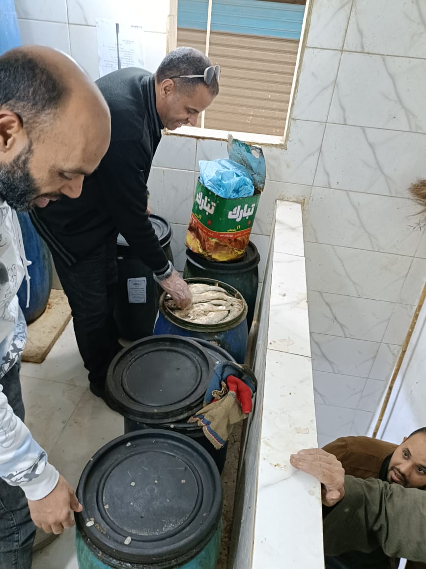 ضبط 9 أطنان من الأسماك المملحة المدخنة وأغذية فاسدة ولحوم مذبوحة خارج المجازر بالجيزة