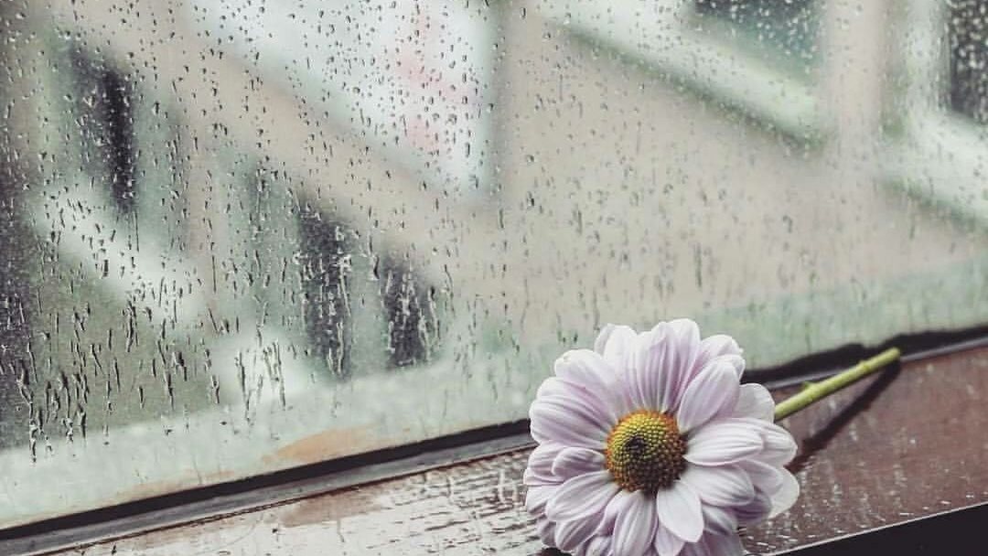 دعاء المطر&nbsp;