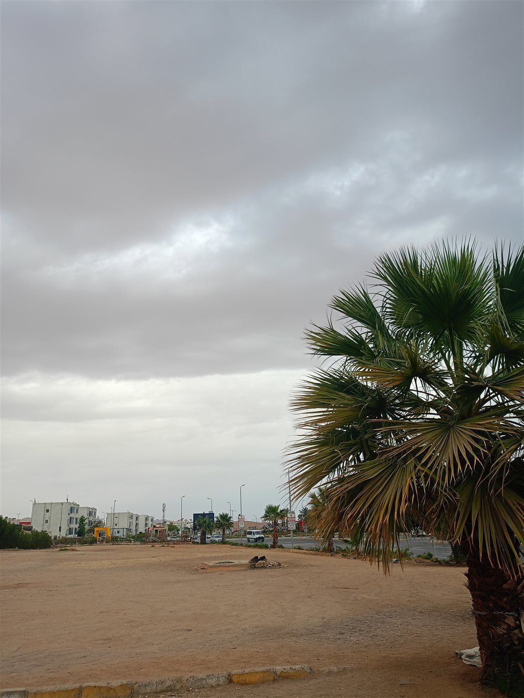 الأحوال الجوية اليوم