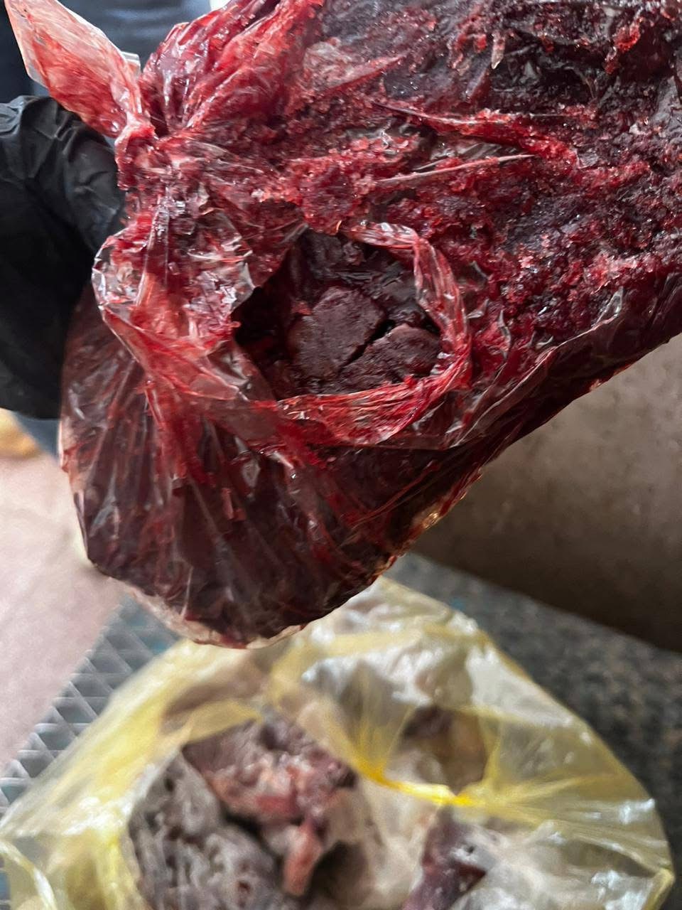 حملة للطب البيطرى تضبط لحوما فاسدة بالأقصر&nbsp;