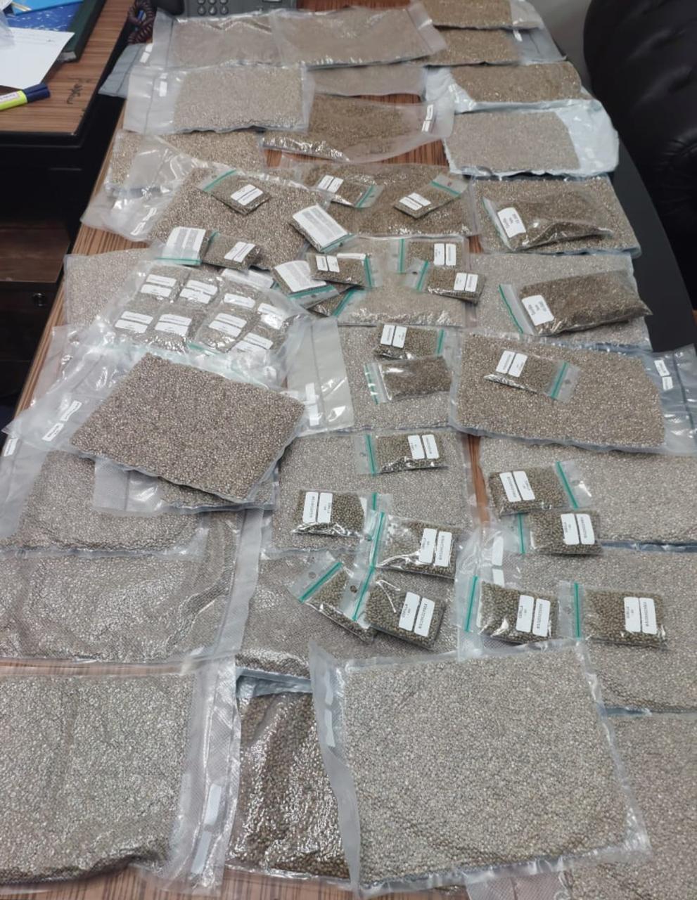 ضبط راكب عربي يُخفي 400 ألف بذرة ماريجوانا في قاعات سحرية بحقيبة على متن رحلة قادمة من بروكسل