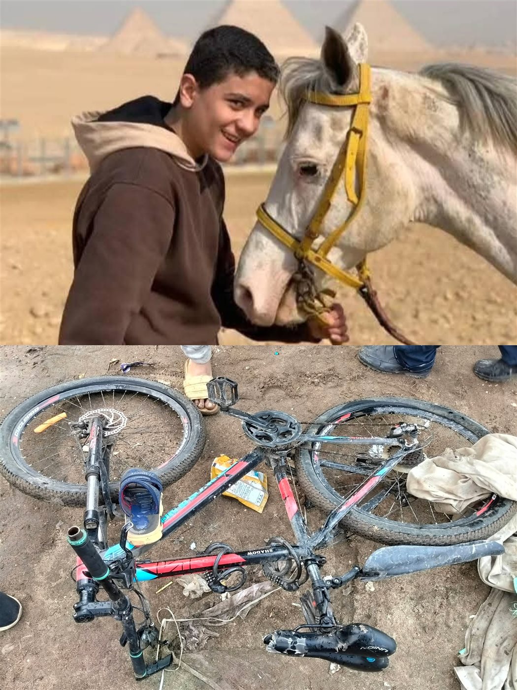 الطالب المتوفى