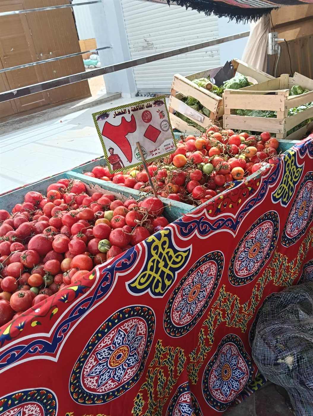 منافذ لبيع الخضر والفاكهة بالوادى الجديد