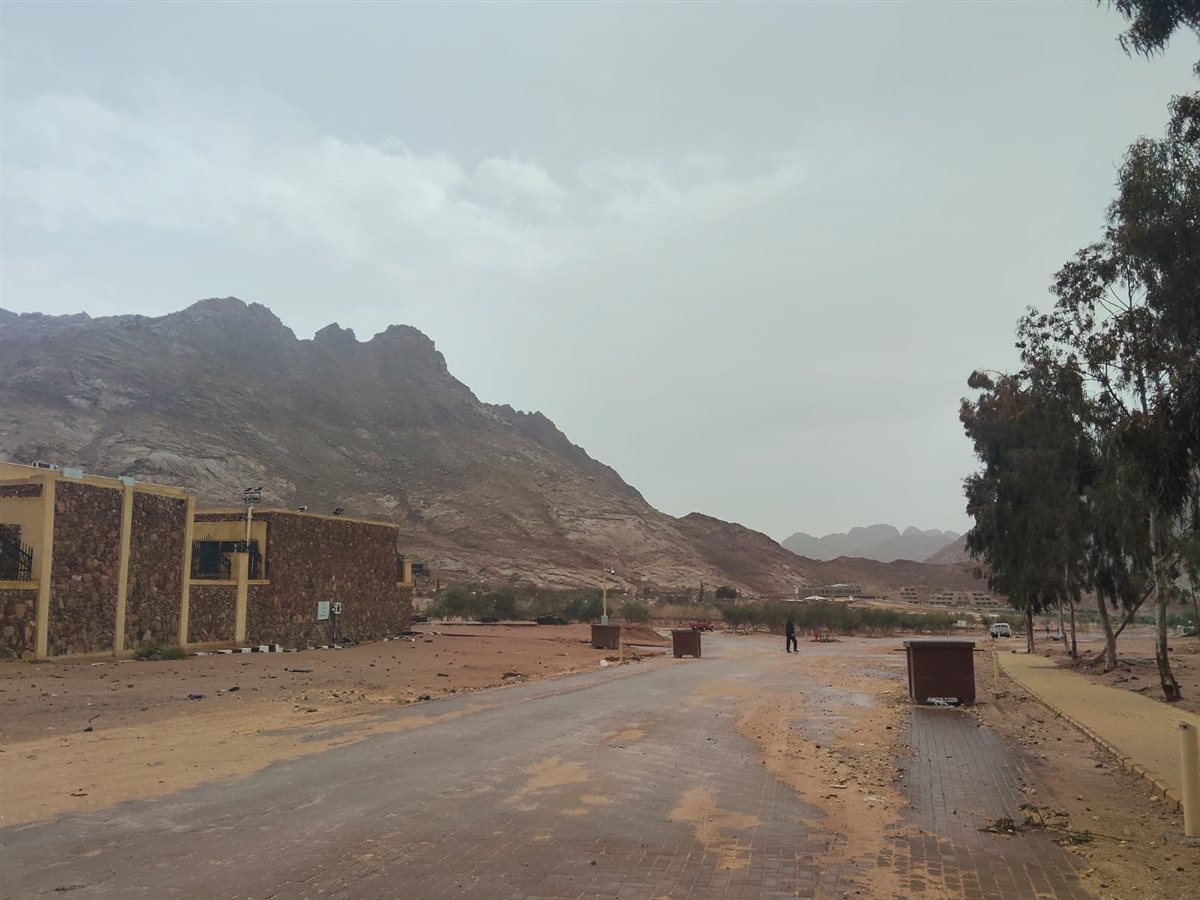 سانت كاترين