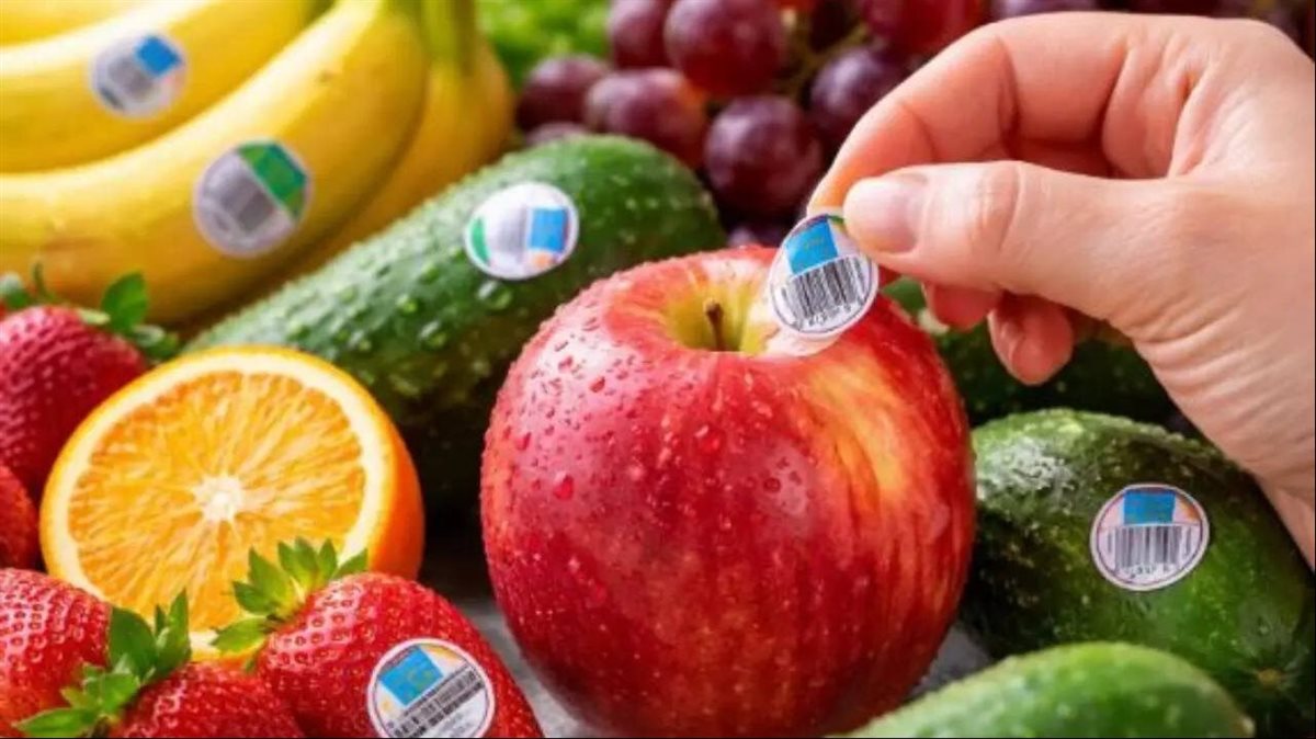 أسعار الفاكهة للمستهلك اليوم