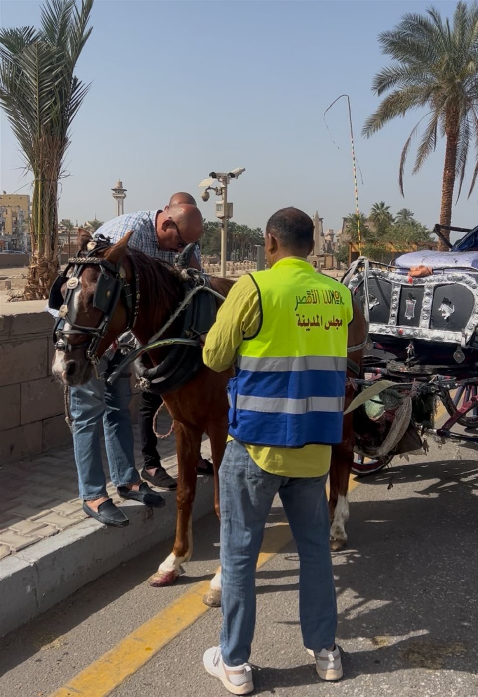 الأقصر تصادر عربات 