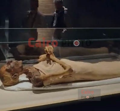 صور حصرية من داخل قاعة المومياوات بالمتحف القومي للحضارة