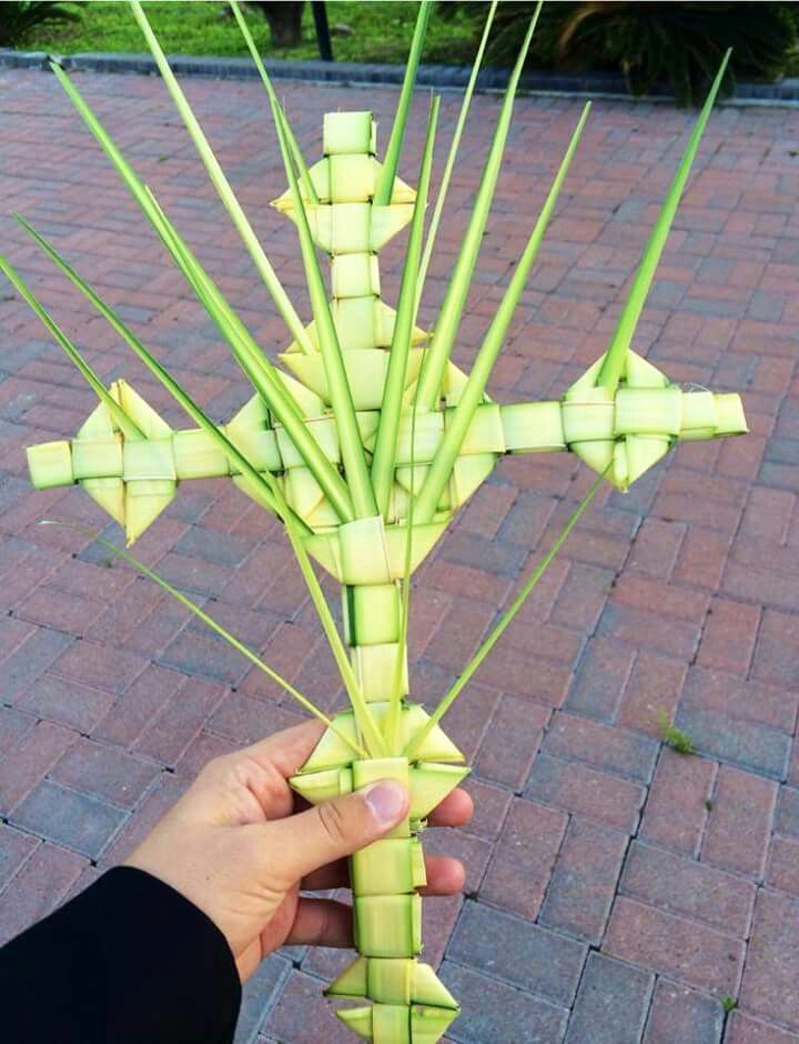 أشكال الزعف