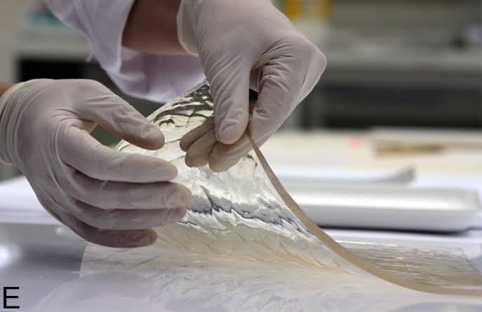 تقنيات Hydrogels تغيّر مستقبل ترميم الوثائق الأثرية