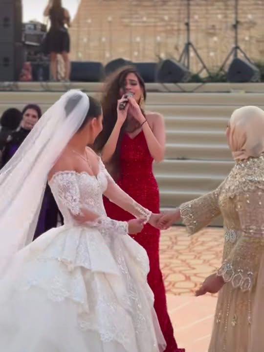 من أمام الأهرامات.. الدكتورة هبة قطب تحتفل بزفاف ابنتها