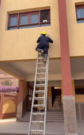 <strong>إنقاذ قطة</strong>