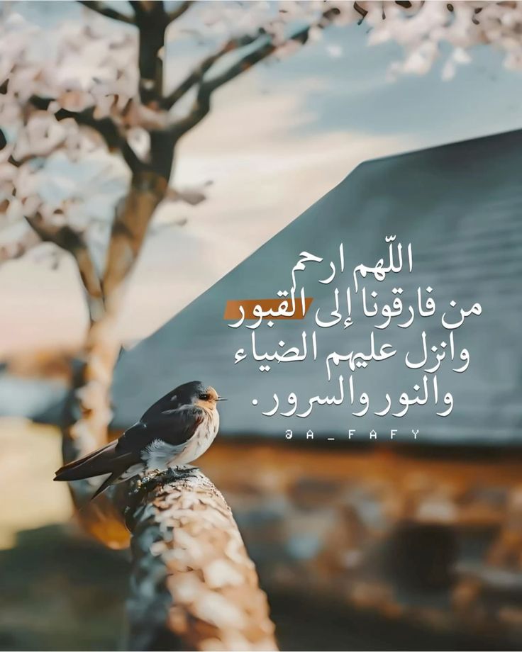 أدعية للميت&nbsp;
