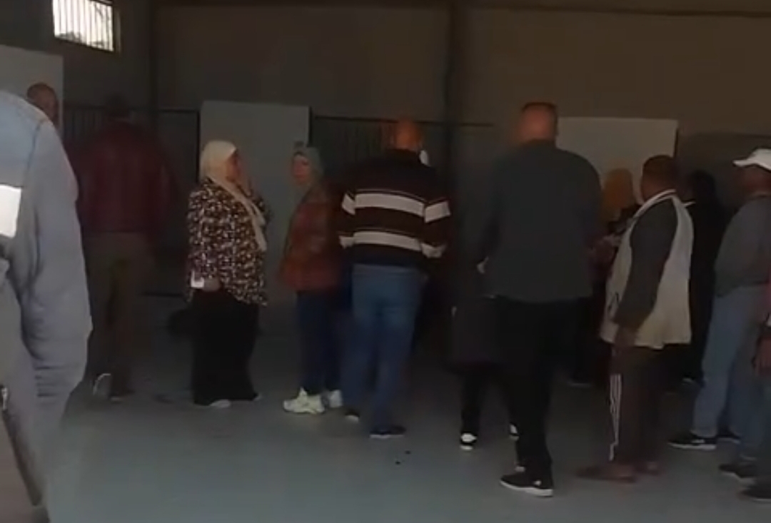 شيلتر الكلاب الضالة ببورسعيد&nbsp;