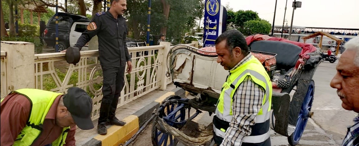 ضبط عربات الحنطور المخالفة&nbsp;