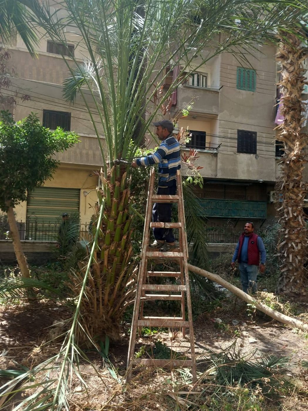 جانب من تجهيزات المحافظة&nbsp;