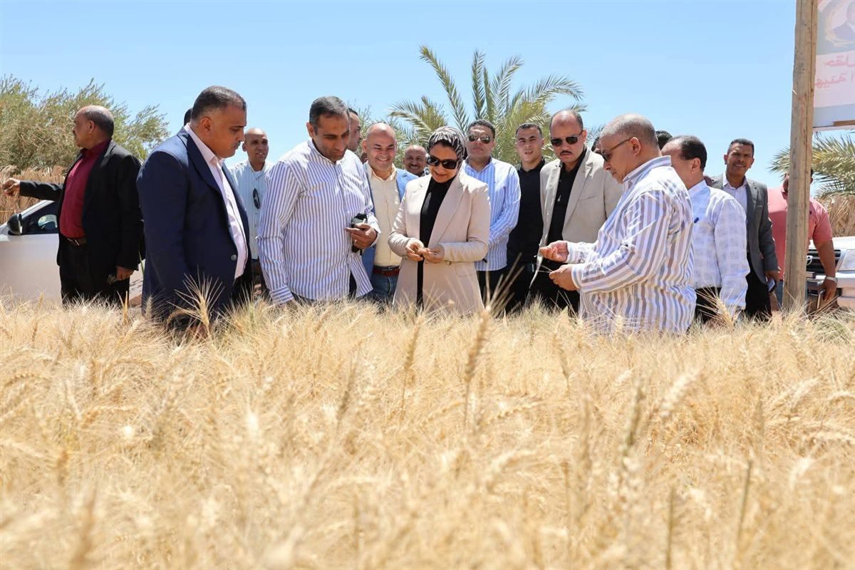 جانب من جولة محافظ الوادى الجديد
