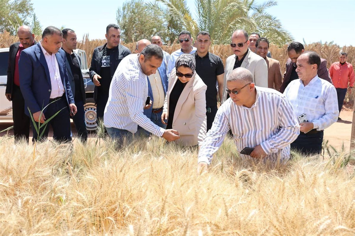 جانب من جولة محافظ الوادى الجديد
