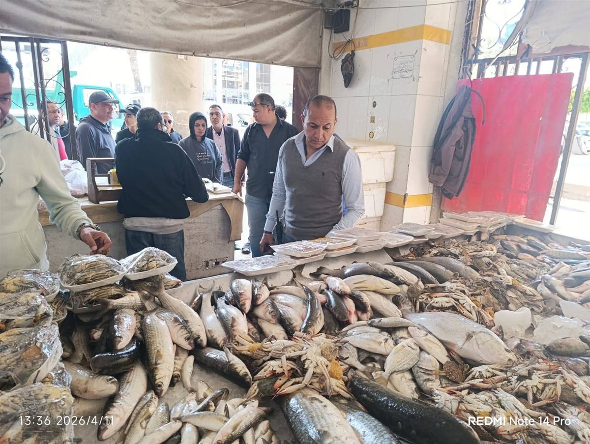 ضبط منتجات فاسدة ببورسعيد 