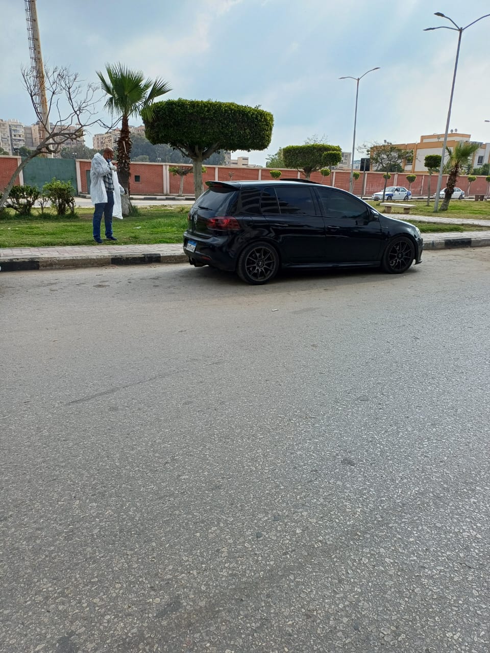 التعامل مع الكلاب الضالة ببورسعيد 