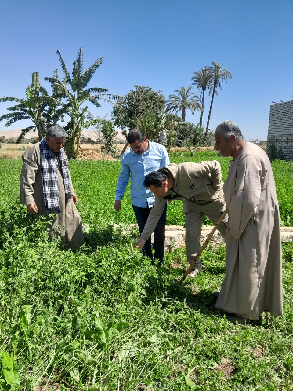 مديرية الزراعة في قرية شطورة