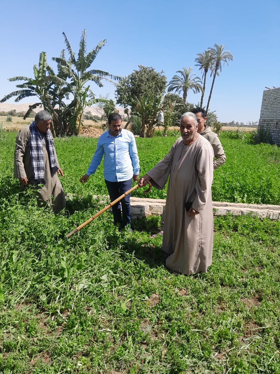 مديرية الزراعة في قرية شطورة