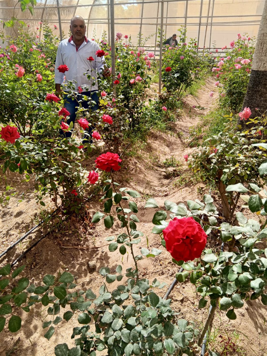 1000543188