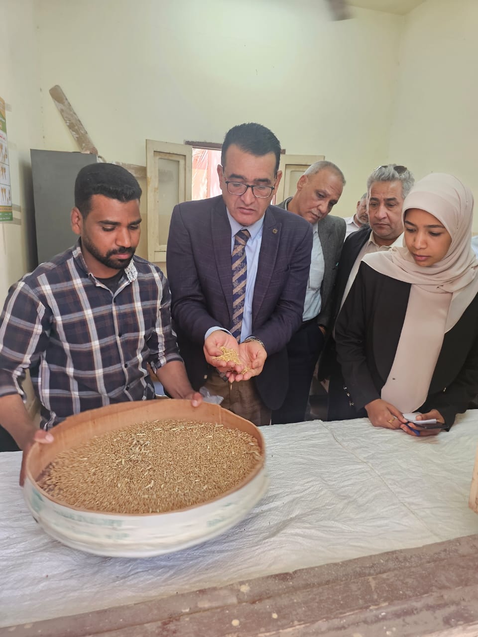 بدء موسم توريد القمح&nbsp;