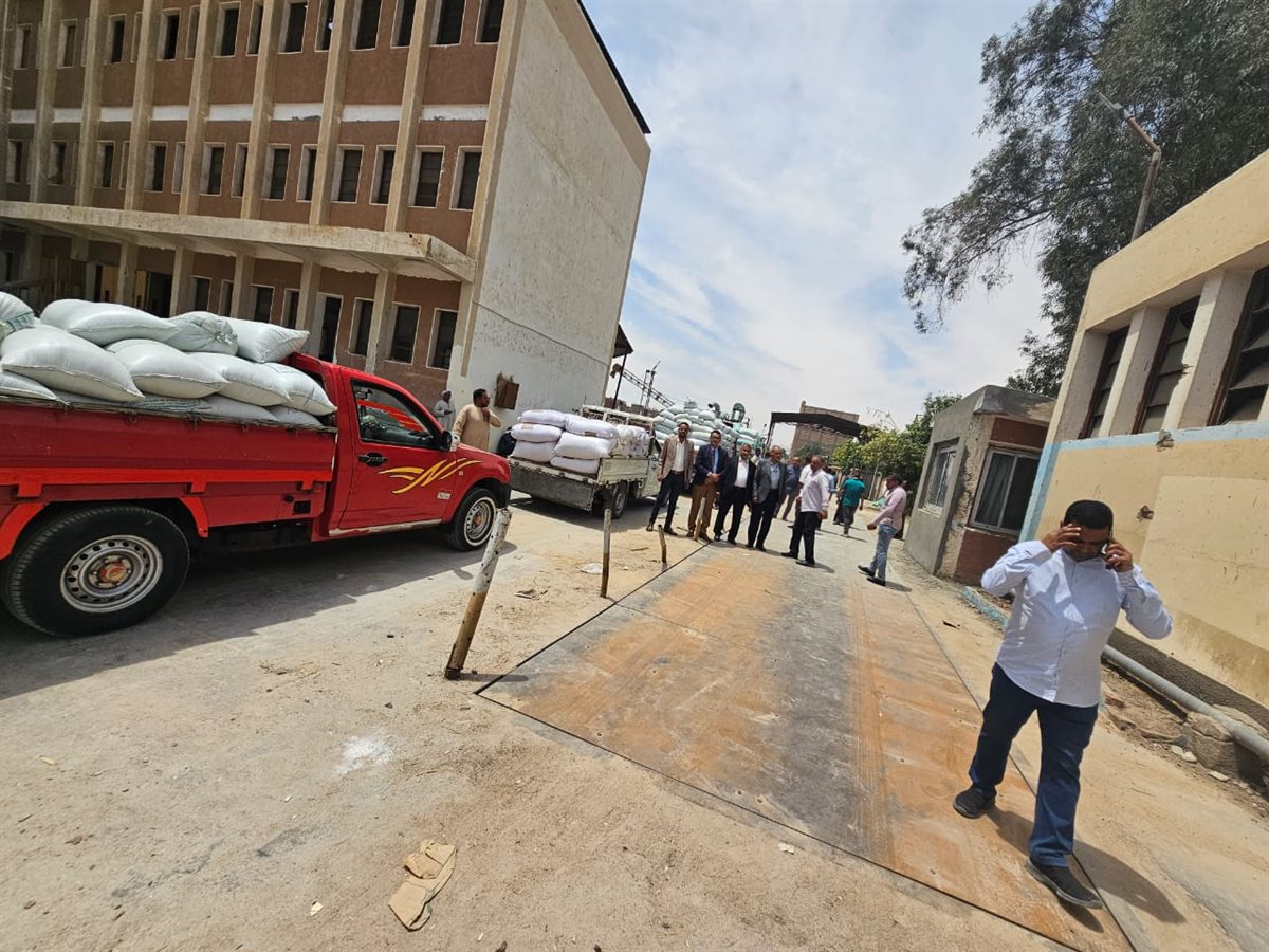 بدء موسم توريد القمح&nbsp;